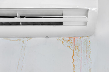 How to Master AC Mold Removal